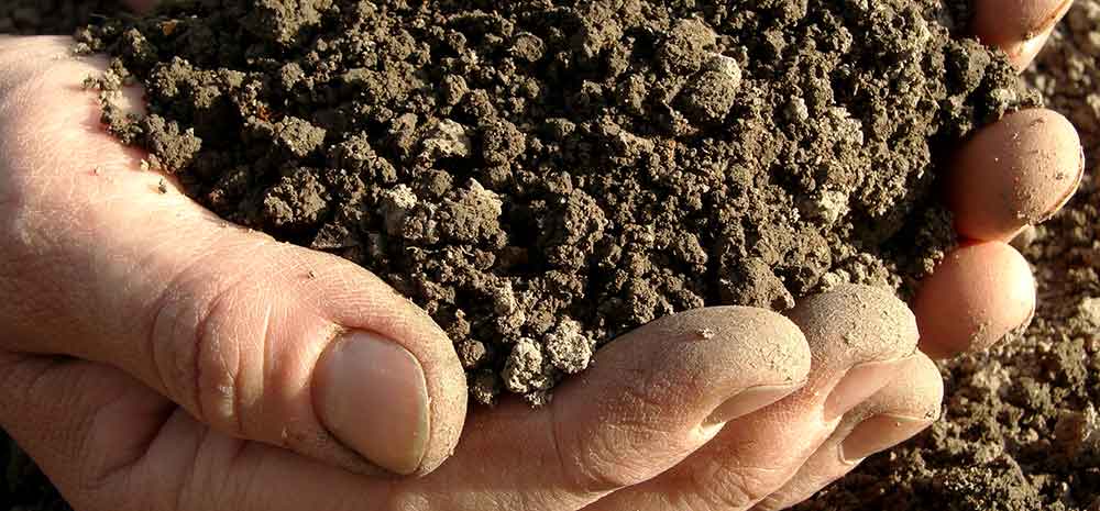 Crop Responses to Subsoil Manuring. I. Results in South-Western Victoria from 2009 to 2012